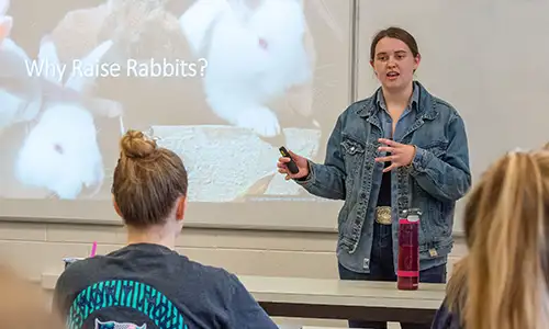 siu student giving a presentation